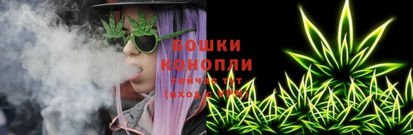 спиды Магас