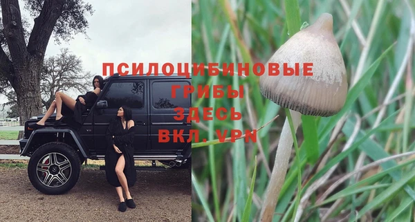 винт Абаза