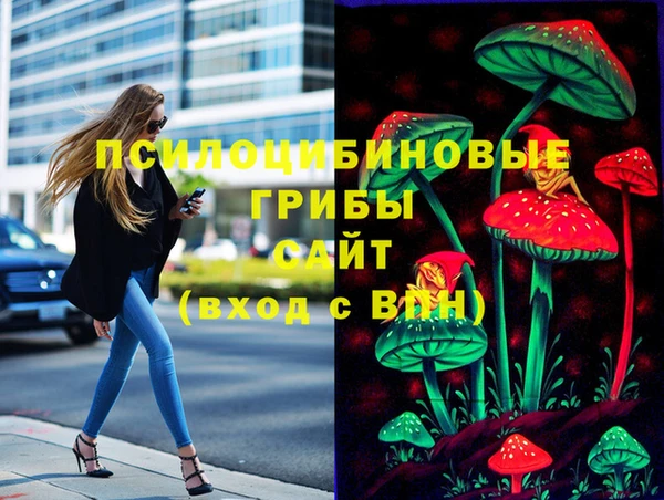 винт Абаза
