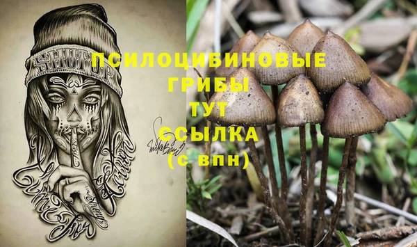спиды Магас
