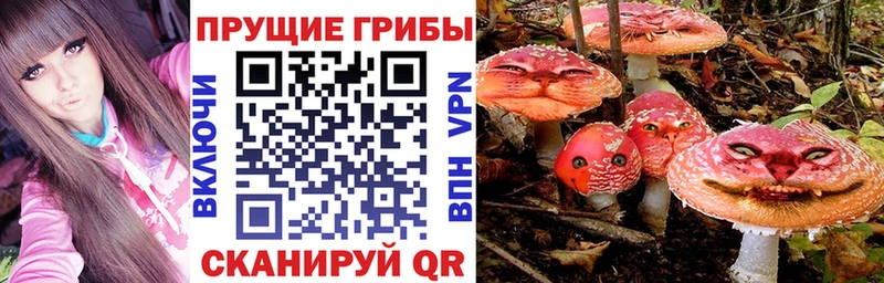 где можно купить наркотик  Вытегра  Псилоцибиновые грибы мицелий 