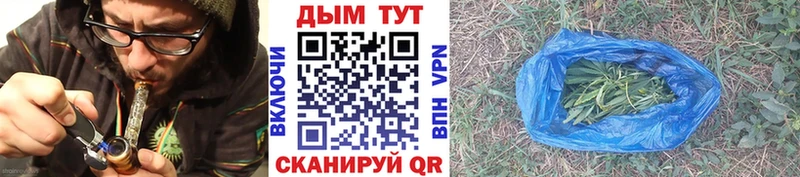 Каннабис THC 21%  где купить наркоту  Вытегра 